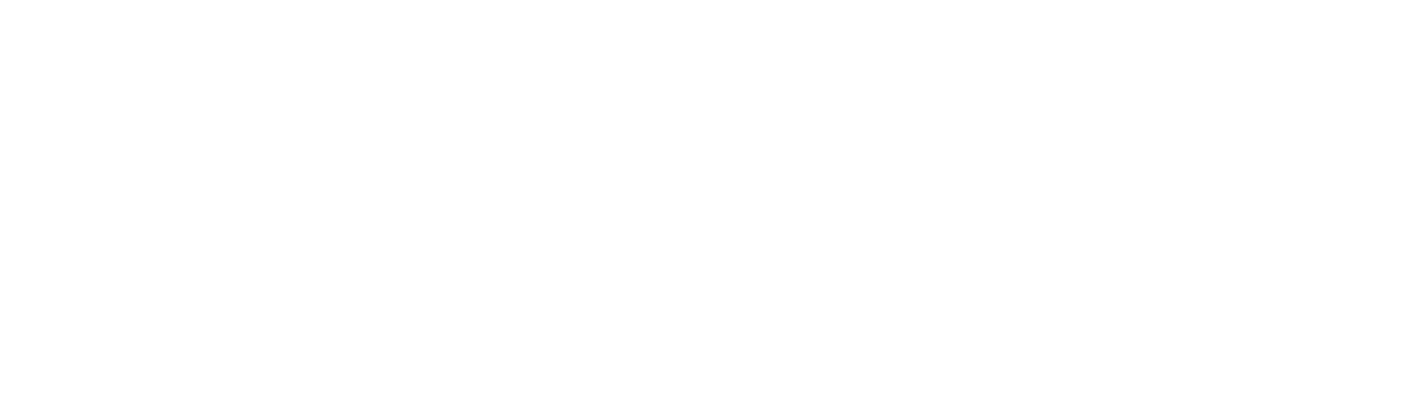Vidyalaya